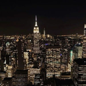 Meet your Posher, Sadie